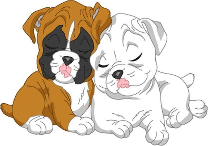 Bügelbild Velour/Flock Bügelapplikation: Hund Boxer Bügelbild Velour/Flock Bügelapplikation: Hund Boxer
