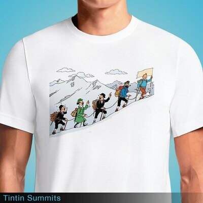 Tintin Summits