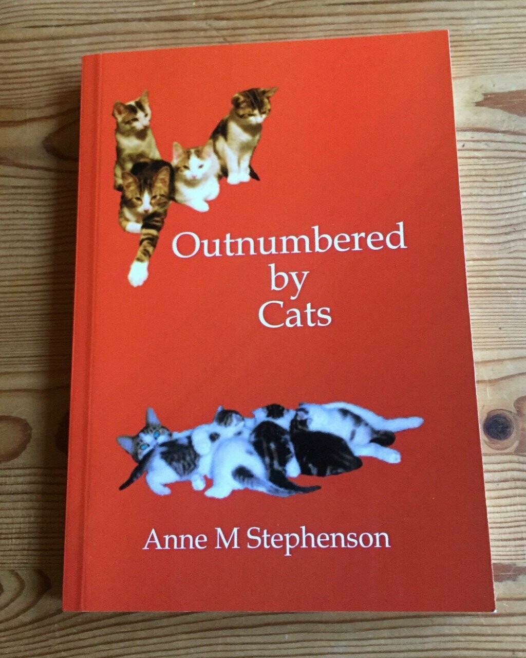 Outnumbered by Cats