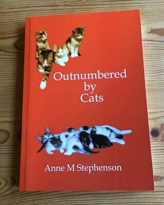 Outnumbered by Cats