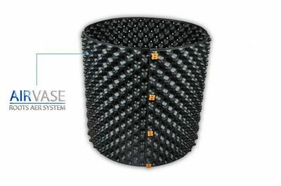 Airvase