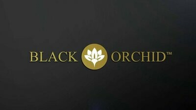 ASPIRATORI BLACK ORCHID
