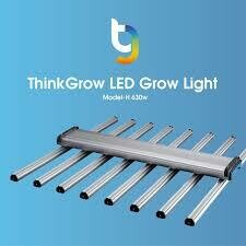 LED Think grow