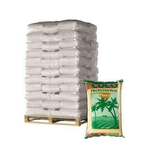 BANCALE CANNA COCCO PROFESSIONAL PLUS 50L (60 SACCHI)