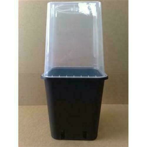VASO SERRA PER VASO 11L