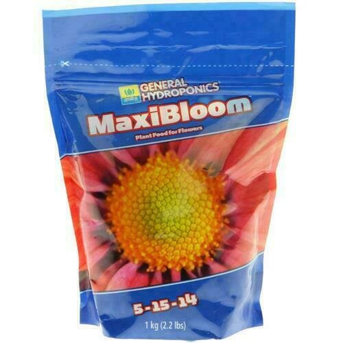 GHE - MAXIBLOOM - POLVERE 1 KG