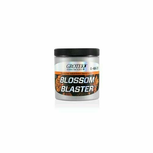 GROTEK - BLOSSOM BLASTER - 130GR