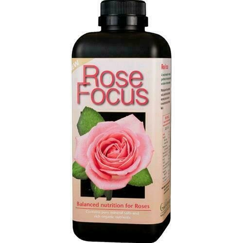 GROWTH TECHNOLOGY - ROSE FOCUS 1L