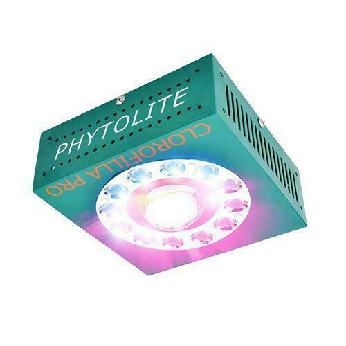 ***SUPERPROMO***PHYTOLITE - LAMPADA LED CLOROFILLA CREE 3070 80 - CLOROFILLA PRO