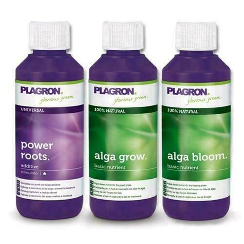 PLAGRON - STARTER SET ALGA - KIT COMPLETO