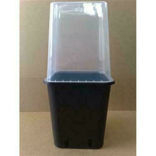 VASO SERRA PER VASO 11L