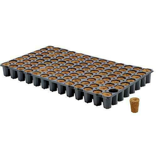 EAZY PLUG - VASSOIO CT104C - SPECIALE 54X31X5
