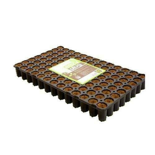 EAZY PLUG - VASSOIO 104 CUBI