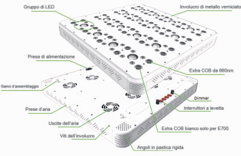 ORTOLED - EVOLUTION | 700W ORTOLED - EVOLUTION | 700W