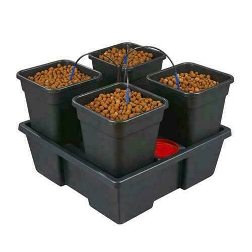 WILMA GROWSYSTEM 4 LARGE (4X11L) 75X75X20 CM - KT204AWE/KT104
