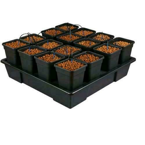 WILMA GROW SYSTEM 16 XXL (16X11L) 115X115X20CM KT416AWE
