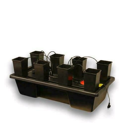 WILMA GROWSYSTEM MINI 8X1,65L (90X45X21CM) - KT008AWE
