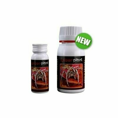 AGROBACTERIAS - SPIDER PLANT (EX SPIDER KILLER) 15 ml