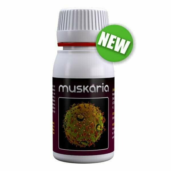 AGROBACTERIAS - MUSKARIA (EX-FUNGI KILLER) - 60 ML
