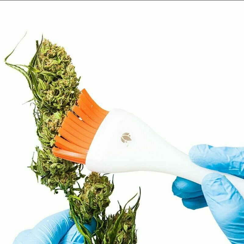 CANNABRUSH - PENNELLO PER RIFINIRE LA PULIZIA DEI FIORI DI CANAPA
