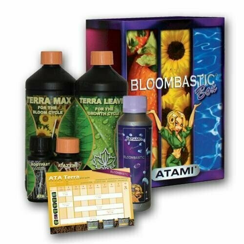 ATA TERRA BLOOMBASTIC BOX