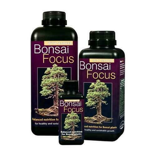GROWTH TECHNOLOGY - BONSAI FOCUS 100 ML