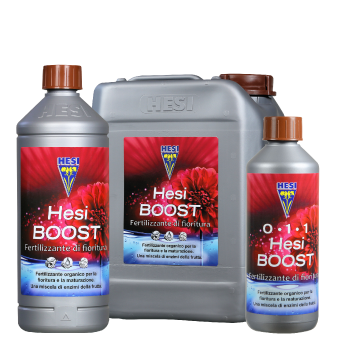 HESI - BOOST 10L