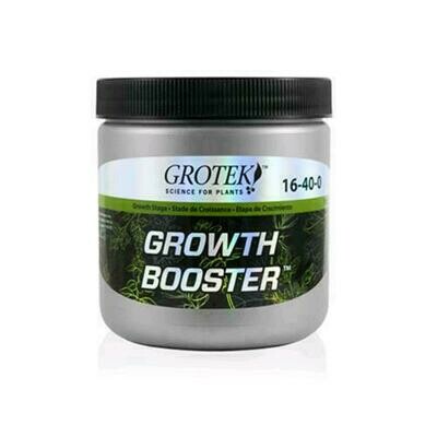 GROTEK - GROWTH BOOSTER - 300 GR