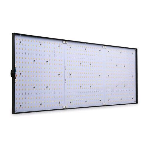 PHYTOLITE - RESINA Q-BOARDS 320