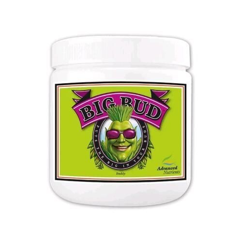 ADVANCED NUTRIENTS - BIG BUD POWDER IN POLVERE