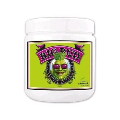 ADVANCED NUTRIENTS - BIG BUD POWDER IN POLVERE