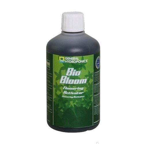 T.A. - PROBLOOM 1L - BIO BOOSTER