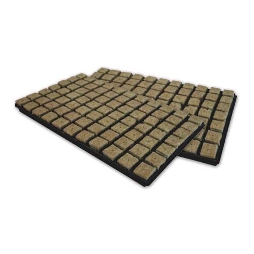 GRODAN - VASSOIO PER GERMINAZIONE - 77 CUBETTI ROCKWOOL 3,6X3,6