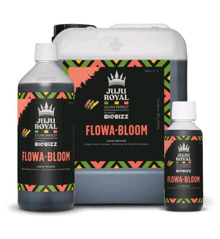 JUJU ROYAL - FLOWA BLOOM