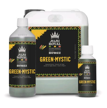 JUJU ROYAL - GREEN MYSTIC