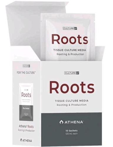 ATHENA - CULTURE LINE - ROOTS CULTURE MEDIA (PACCO DA 10, 750 ML)