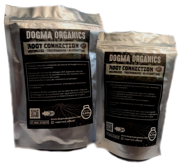 Dogma Root connection 0,21 Kg