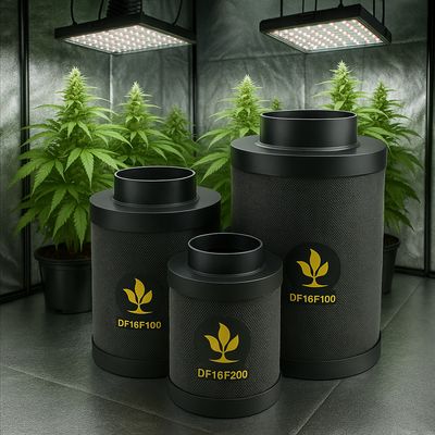FILTRI ODORE SECRET JARDIN