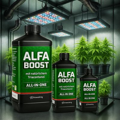Alfa Boost