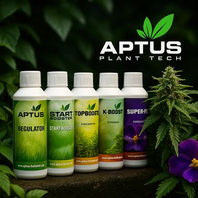 Aptus