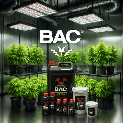 B.A.C.