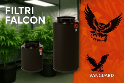 FILTRI ODORE FALCON
