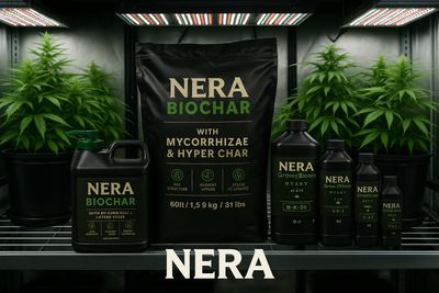 Nerabiochar