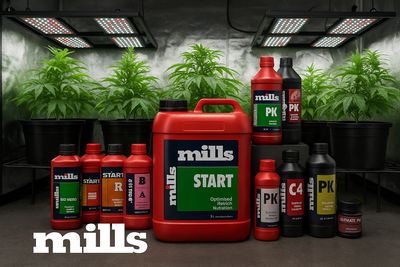 Mills