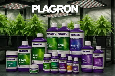 Plagron