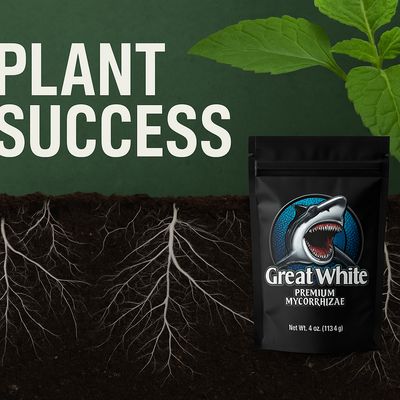 Plant Success