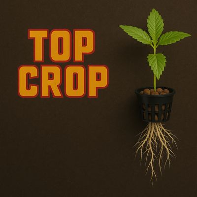 Top Crop