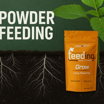 Powder feeding