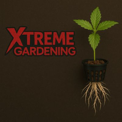 Xtreme gardening