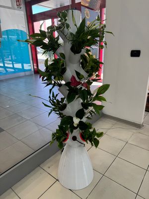 TORRE IDROPONICA HYDROINVENT 21 VASI TORRE IDROPONICA HYDROINVENT 21 VASI